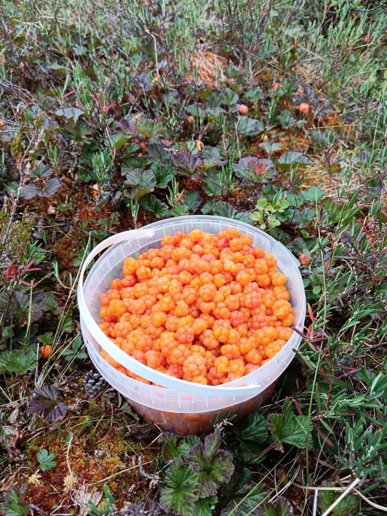 Uutiskuva